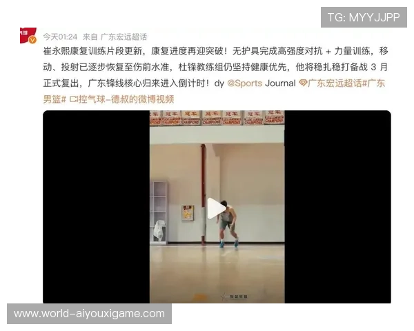 球员伤病恢复进度追踪，球队伤病情况