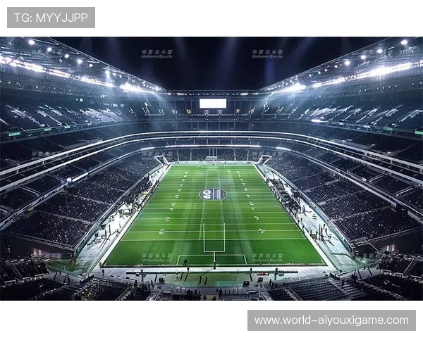 职业联赛的比赛场地标准